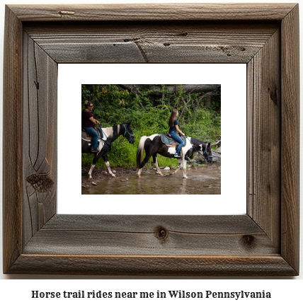 horse trail rides near me in Wilson, Pennsylvania